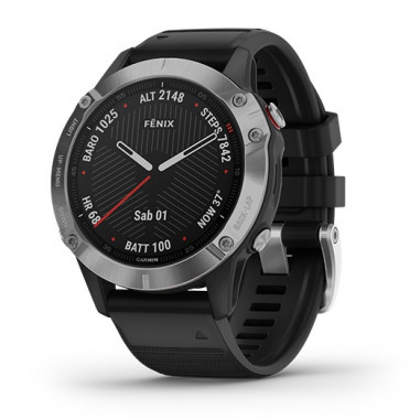 Garmin Fenix 6 Silver with Black Band