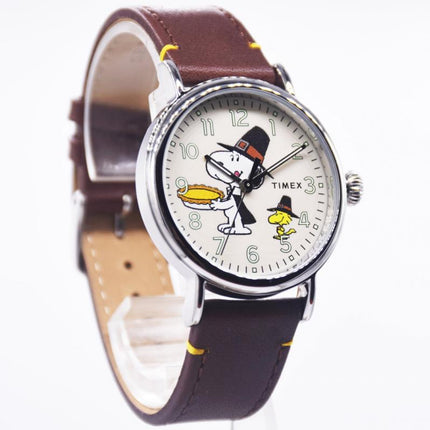 Timex TW2V60100