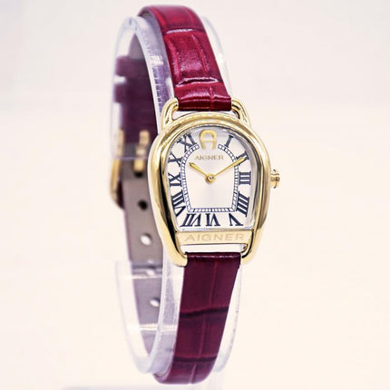 Aigner AGW.296003.C