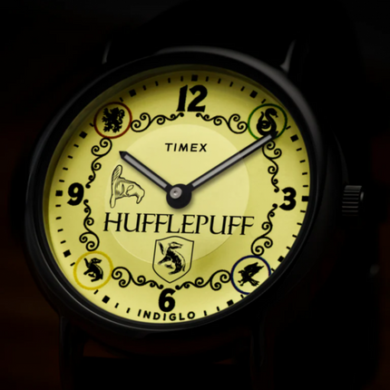 Timex x Harry Potter Weekender Hufflepuff TW2Y76600