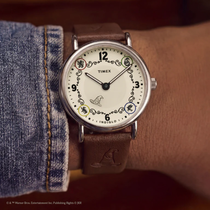 Timex x Harry Potter Weekender Ravenclaw TW2Y76500
