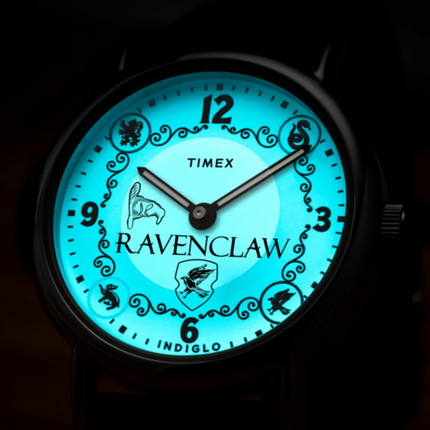 Timex x Harry Potter Weekender Ravenclaw TW2Y76500