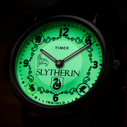 Timex x Harry Potter Weekender Slytherin TW2Y76400