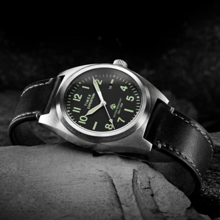 Timex Expedition Capstone TW2Y30700
