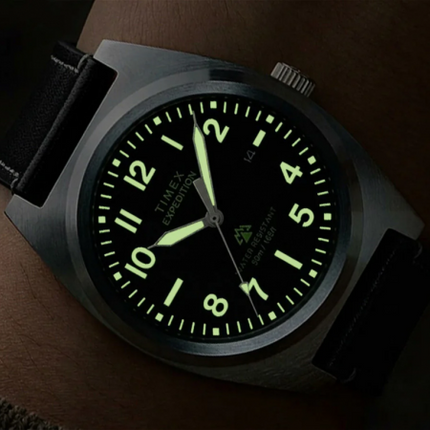 Timex Expedition Capstone TW2Y30700