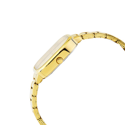 Alba Fashion AH7BY8X1 Ladies Light Champagne Dial Gold Stainless Steel Strap