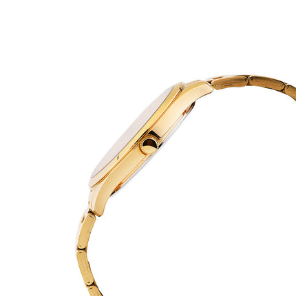 Alba Prestige ARX008X1 Men Gilt Dial Gold Stainless Steel Strap