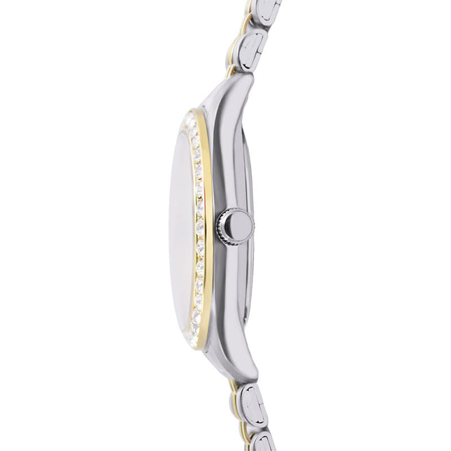 Alba Fashion AH7FD8X1 Ladies Analog Silver Dial Dual Tone Stainless Steel Strap