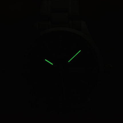 Alba Prestige ARX029X1 Ladies Black Dial Stainless Steel Strap