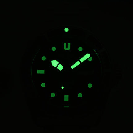 Alba AL4623X1 Men Automatic Black Dial Stainless Steel Strap