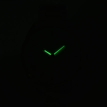 Alba AS9Q78X1 Silver Dial Dual Tone Stainless Steel Strap
