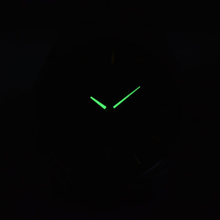 Alba AS9Q79X1 Green Dial Stainless Steel Strap
