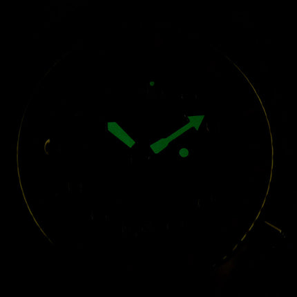 Seiko 5 Sports X Jojo Bizarre Adventure SBSA036 Giorno Giovanna Leather Strap Limited Edition (JDM)
