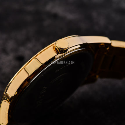 Alba Prestige ARX008X1 Men Gilt Dial Gold Stainless Steel Strap