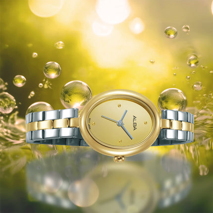 Alba Fashion AH8920X1 Ladies Analog Gilt Polished Dial Dual Tone Stainless Steel Strap